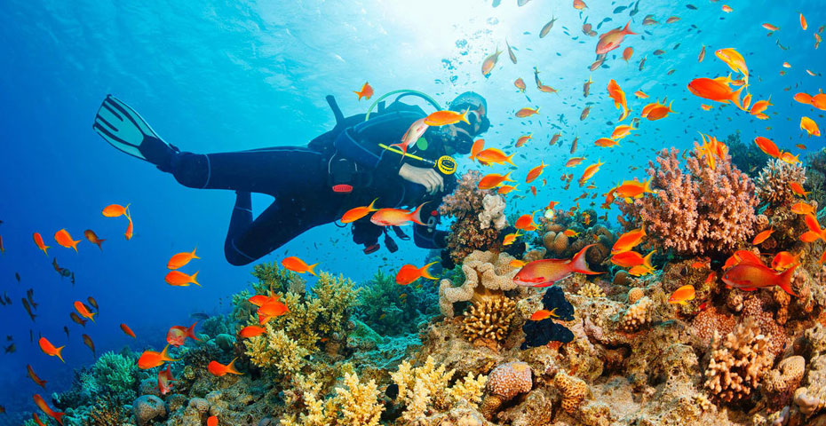 Scuba diving in Andaman